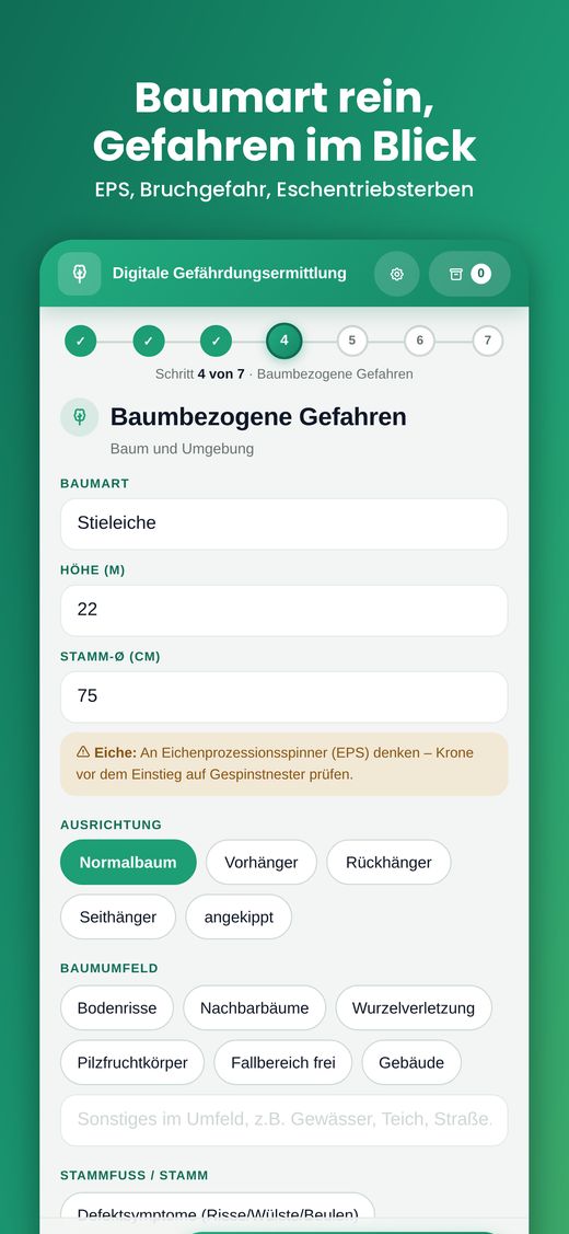 Baumart mit Hinweis auf den Eichenprozessionsspinner